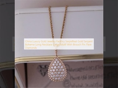 Motivo dell'oro della Cina grande dei gioielli della fabbrica di SerpeReal dell'oro del serpente della collana lunga di lusso di Boheme con la fibula Pin Pave Diamonds